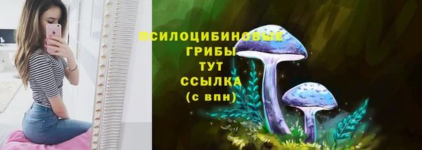 гидра Армянск