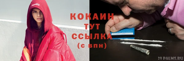 гидра Армянск