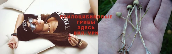 прущая мука Арсеньев