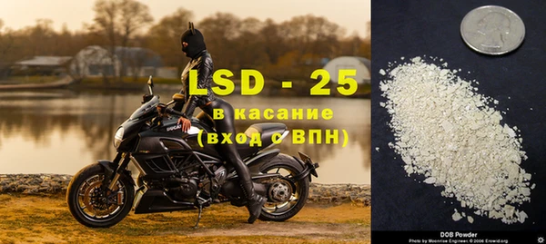 прущая мука Арсеньев