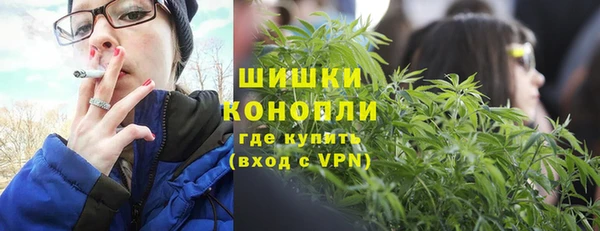 прущая мука Арсеньев