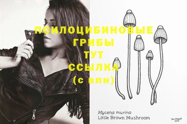 таблы Аркадак