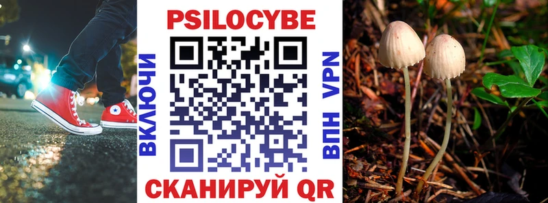 Псилоцибиновые грибы Cubensis  Талица 